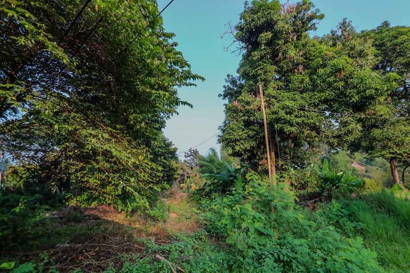 Tanah 5000m2 Karang Tengah, Dekat Green Lake City, Metland Puri 