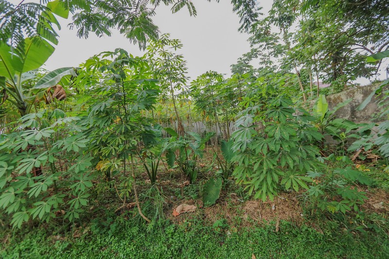 Kavling dalam Cluster, Pakuan, Bogor, Akses mudah ke Sentul City