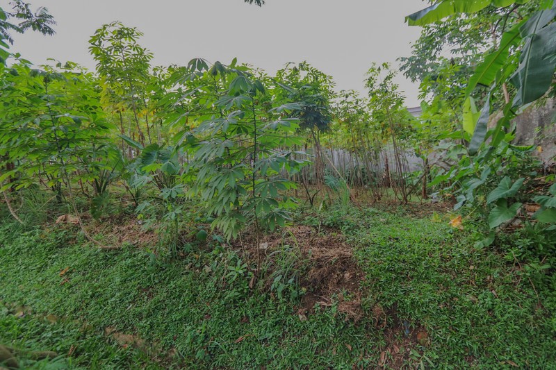 Kavling dalam Cluster, Pakuan, Bogor, Akses mudah ke Sentul City