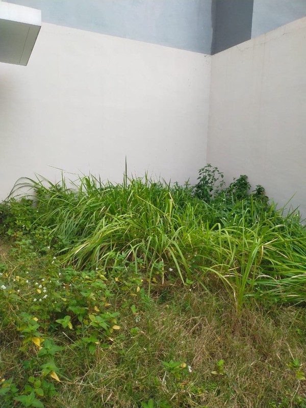 Rumah Baru Cluster Lemonade Grand Wisata Tambun Selatan Bekasi