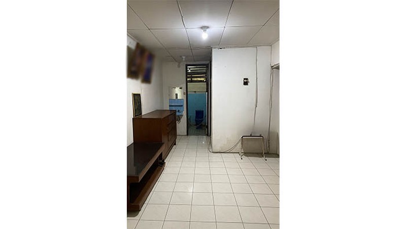 Rumah Pelepah Raya, Kelapa Gading