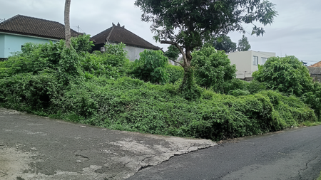 Land For Sale in Prime Location - Canggu, Tumbak Bayuh