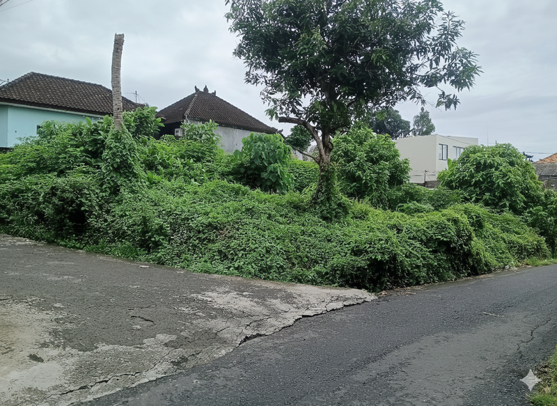 Land For Sale in Prime Location - Canggu, Tumbak Bayuh
