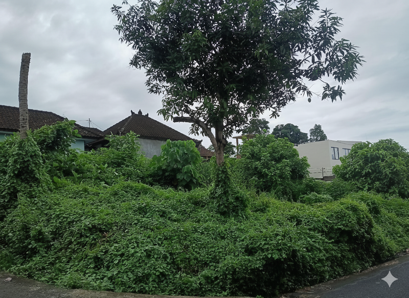 Land For Sale in Prime Location - Canggu, Tumbak Bayuh