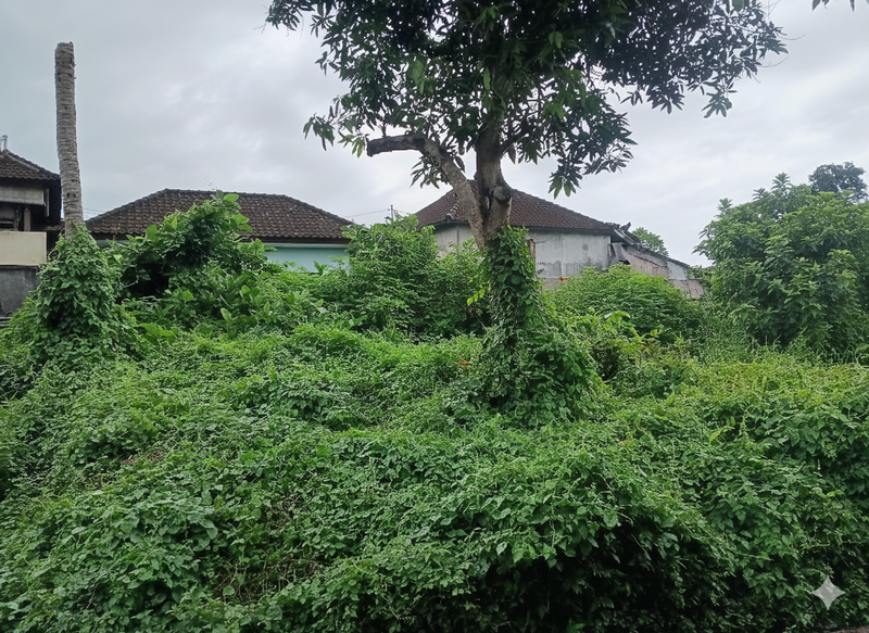 Land For Sale in Prime Location - Canggu, Tumbak Bayuh
