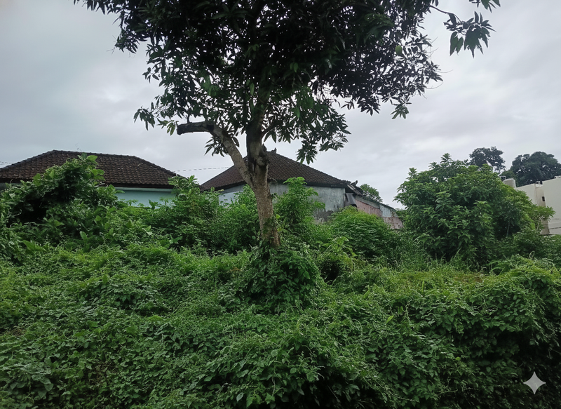 Land For Sale in Prime Location - Canggu, Tumbak Bayuh