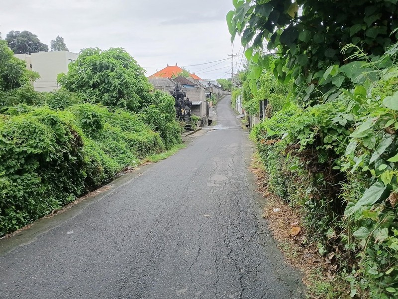Land For Sale in Prime Location - Canggu, Tumbak Bayuh