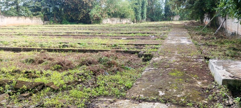 Kavling Luas Siap Bangun Lokasi Kota Sangat Strategis Pinggir Jalan @Bogor
