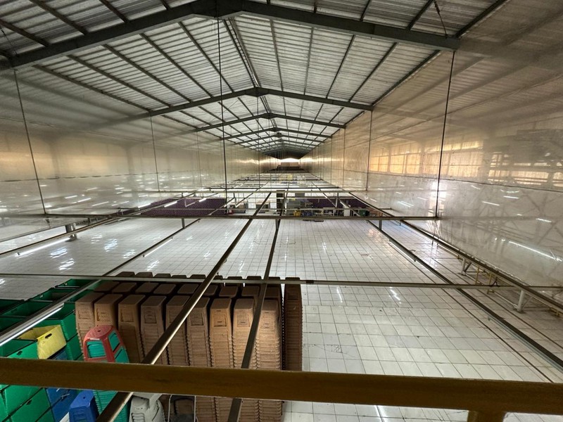 DIJUAL PABRIK 2,7 Ha SIAP PAKAI - SUBANG