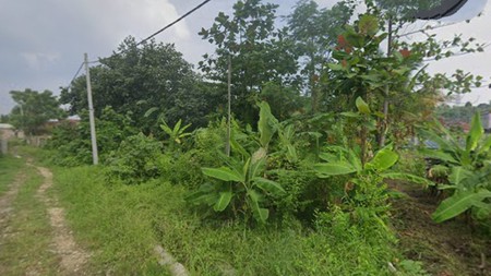 Tanah kosong dijalan AMD Kampung Sawah Raya Kuripan Teluk Betung Utara, Bandar Lampung (Lampung)