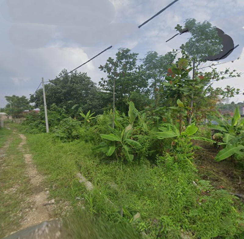 Tanah kosong dijalan AMD Kampung Sawah Raya Kuripan Teluk Betung Utara, Bandar Lampung (Lampung)