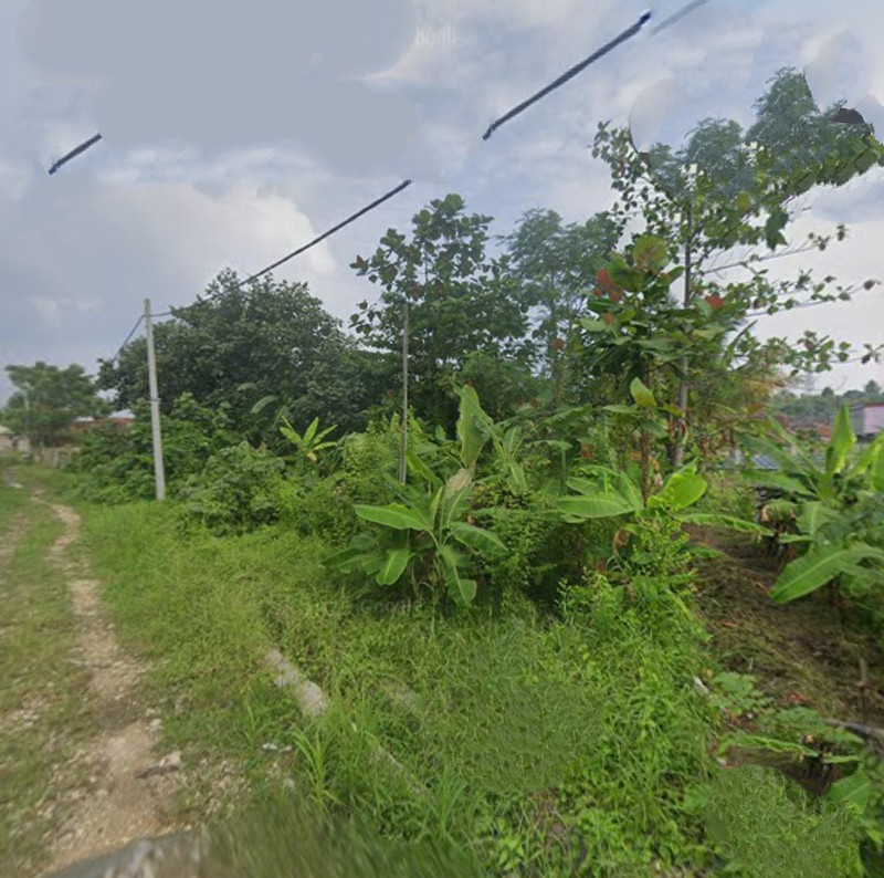 Tanah kosong dijalan AMD Kampung Sawah Raya Kuripan Teluk Betung Utara, Bandar Lampung (Lampung)