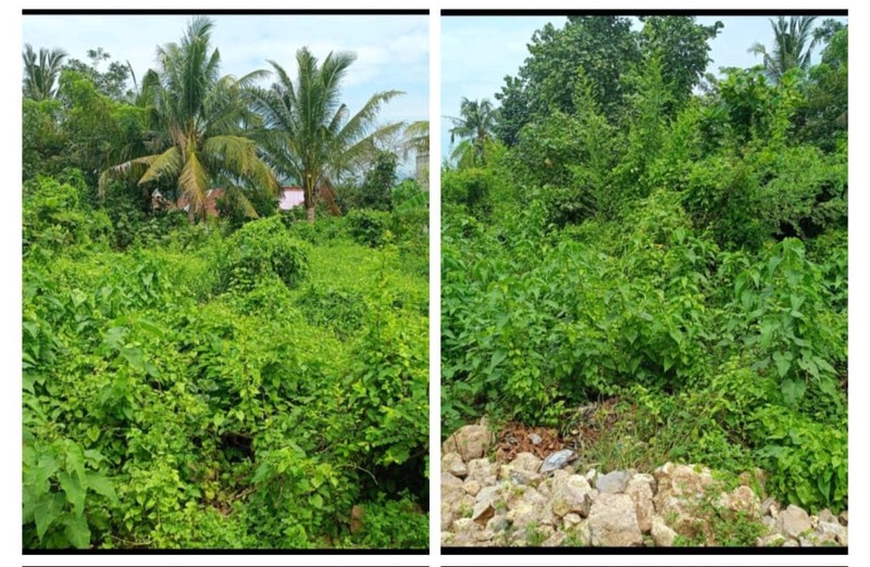 Tanah kosong dijalan AMD Kampung Sawah Raya Kuripan Teluk Betung Utara, Bandar Lampung (Lampung)