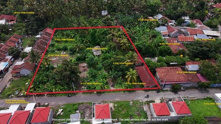 FOR SALE BIG LAND NEAR CENTRAL LOVINA