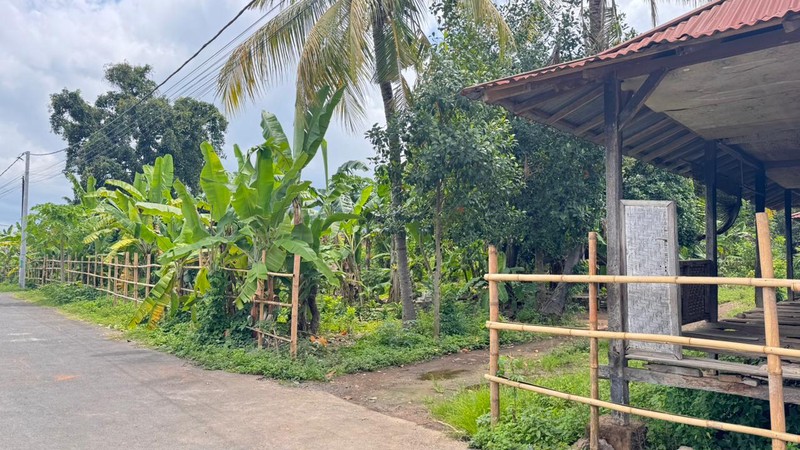 FOR SALE BIG LAND NEAR CENTRAL LOVINA