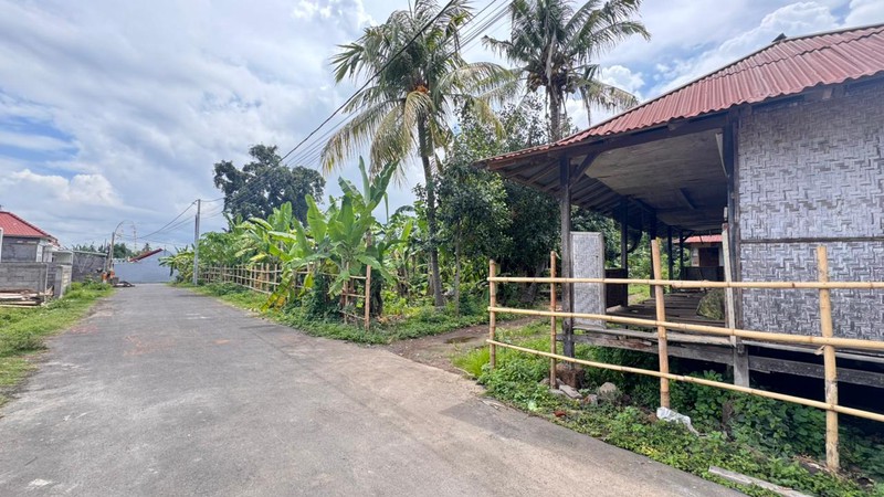 FOR SALE BIG LAND NEAR CENTRAL LOVINA