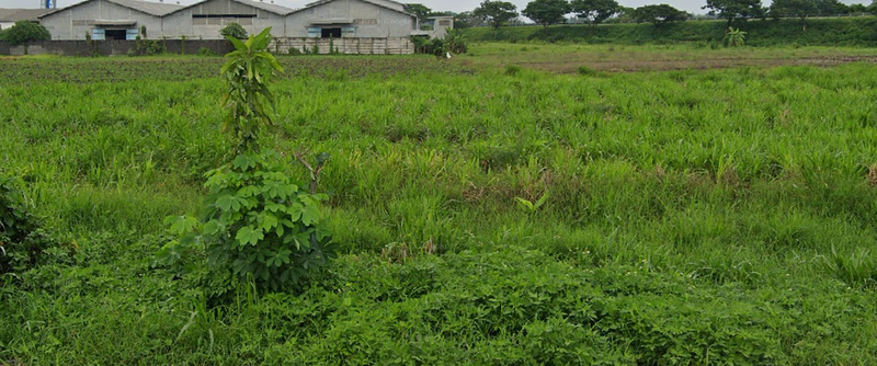 Jual Tanah Murah Strategis di Surabaya Selatan Siwalankerto Dekat Universitas Petra