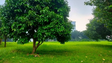 Dijual kavling di Taman Golf Lippo Karawaci Tangerang