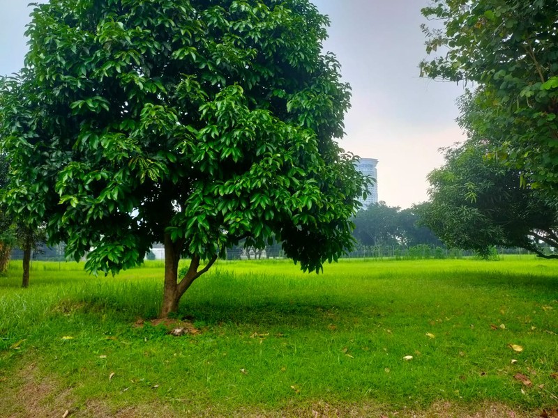 Dijual kavling di Taman Golf Lippo Karawaci Tangerang