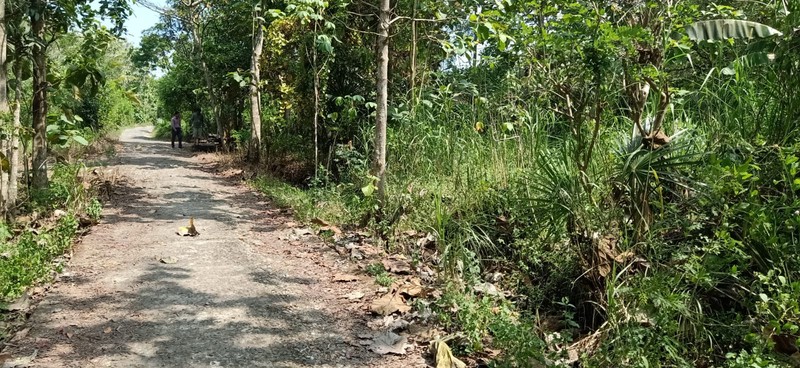 Tanah 2.723 Meter Persegi Di Daerah Kulon Progo