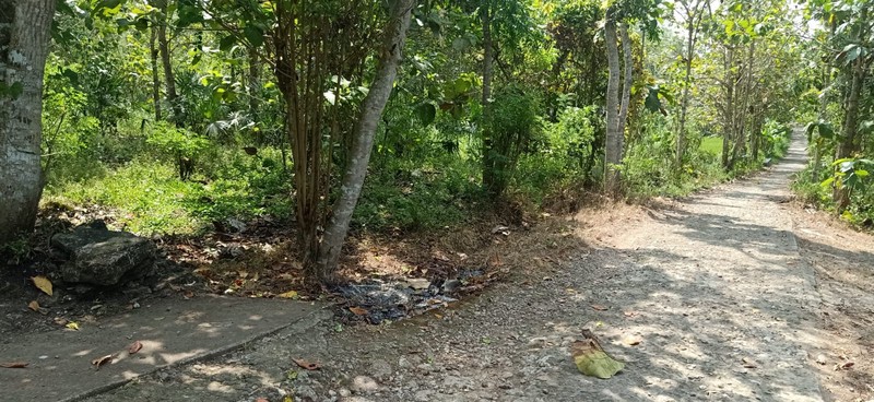 Tanah 2.723 Meter Persegi Di Daerah Kulon Progo