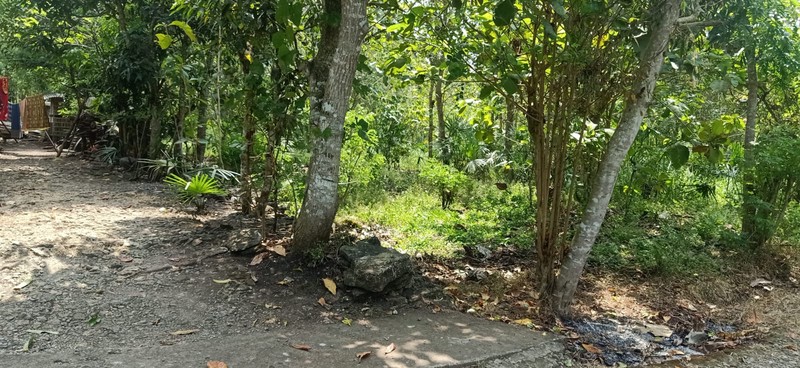 Tanah 2.723 Meter Persegi Di Daerah Kulon Progo