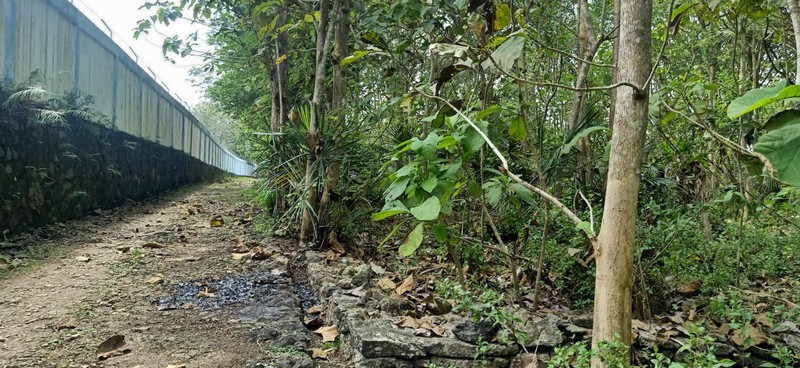 Tanah Seluas 3.982 Meter Persegi Di Sentolo Kulon Progo