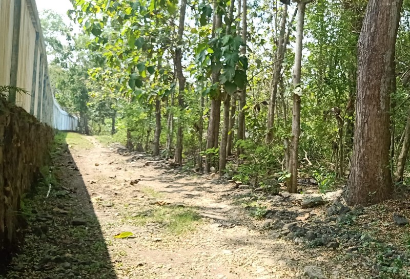 Tanah Seluas 3.982 Meter Persegi Di Sentolo Kulon Progo