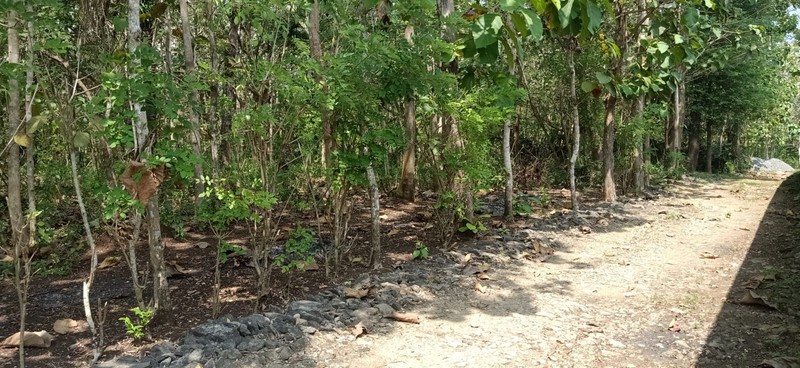 Tanah Seluas 776 Meter Persegi Di Sentolo Kulon Progo