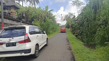 Land Freehold 1600 Sqm In Payangan Ubud Bali
