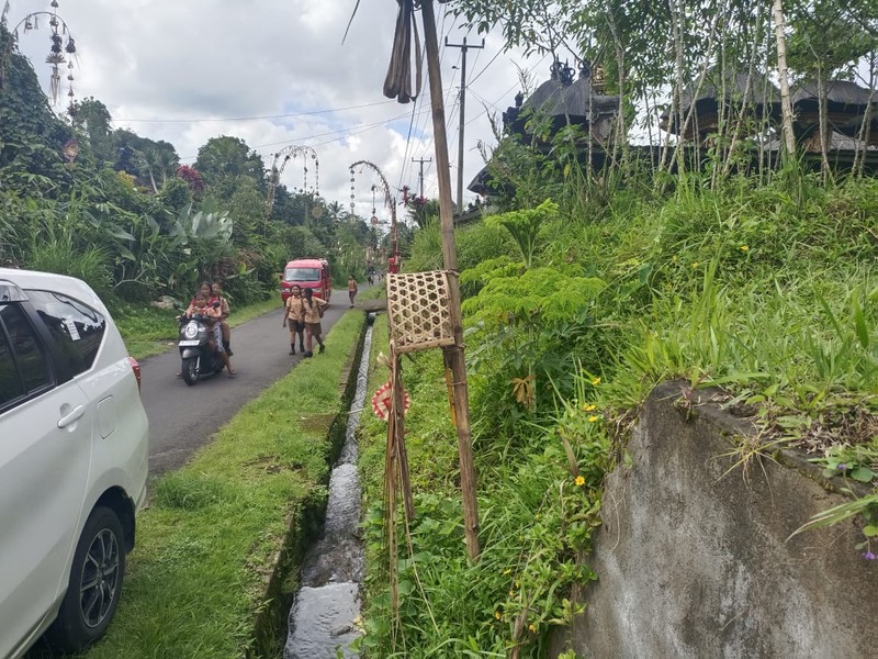 Land Freehold 1600 Sqm In Payangan Ubud Bali