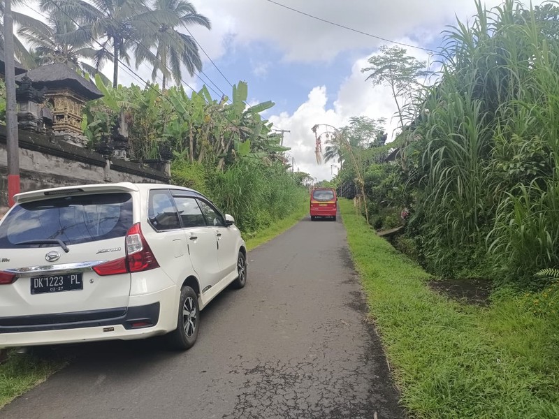 Land Freehold 1600 Sqm In Payangan Ubud Bali