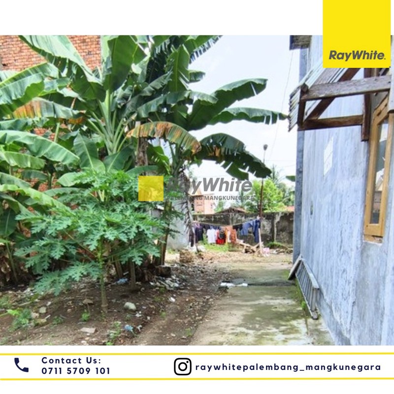 DIJUAL RUMAH BESERTA KONTRAKAN