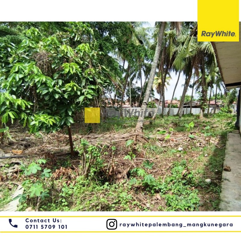 DIJUAL TANAH  DI TENGAH KOTA PALEMBANG 