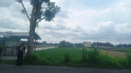 Dijual Tanah Sawah Produktif di Lokasi Strategis Dekat RS Pantirini , Bokoharjo, Prambanan ,Sleman