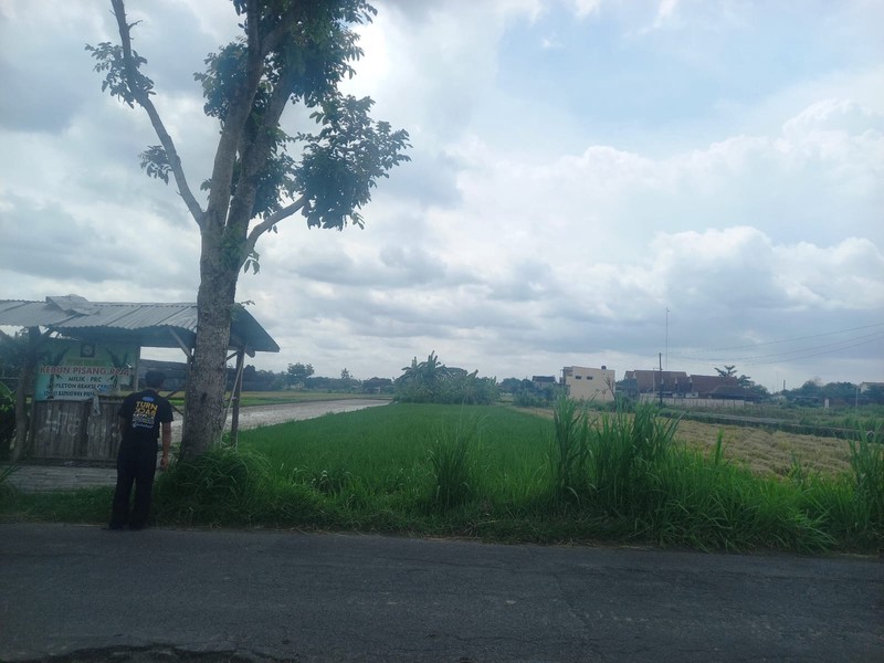Dijual Tanah Sawah Produktif di Lokasi Strategis Dekat RS Pantirini , Bokoharjo, Prambanan ,Sleman