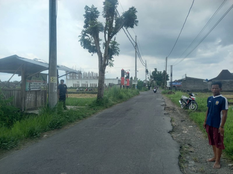 Dijual Tanah Sawah Produktif di Lokasi Strategis Dekat RS Pantirini , Bokoharjo, Prambanan ,Sleman