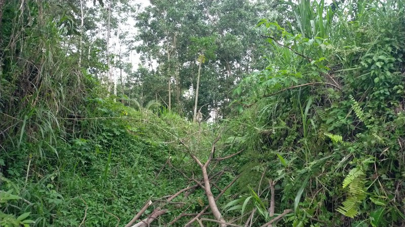 Dijual Tanah 1.8 Hektar di Argomulyo, Cangkringan, Sleman, Potensi Wisata/Resort