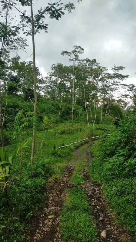 Dijual Tanah 1.8 Hektar di Argomulyo, Cangkringan, Sleman, Potensi Wisata/Resort