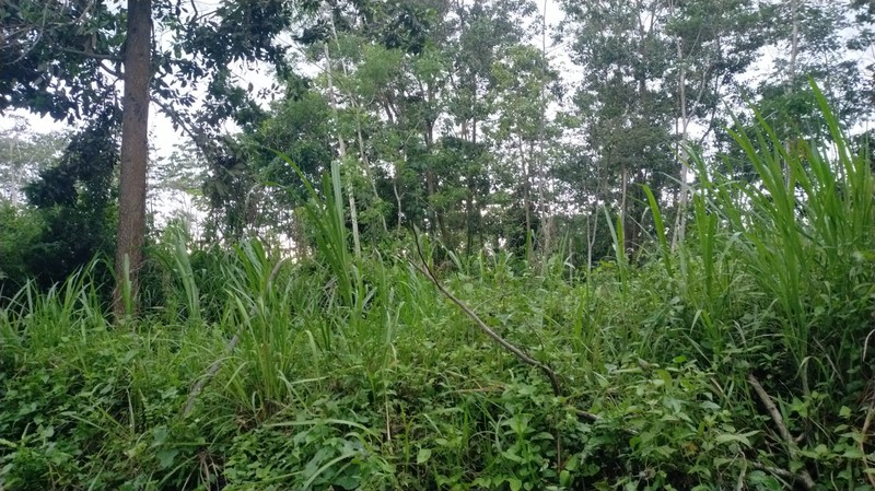 Dijual Tanah 1.8 Hektar di Argomulyo, Cangkringan, Sleman, Potensi Wisata/Resort