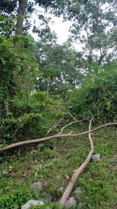 Dijual Tanah 1.8 Hektar di Argomulyo, Cangkringan, Sleman, Potensi Wisata/Resort