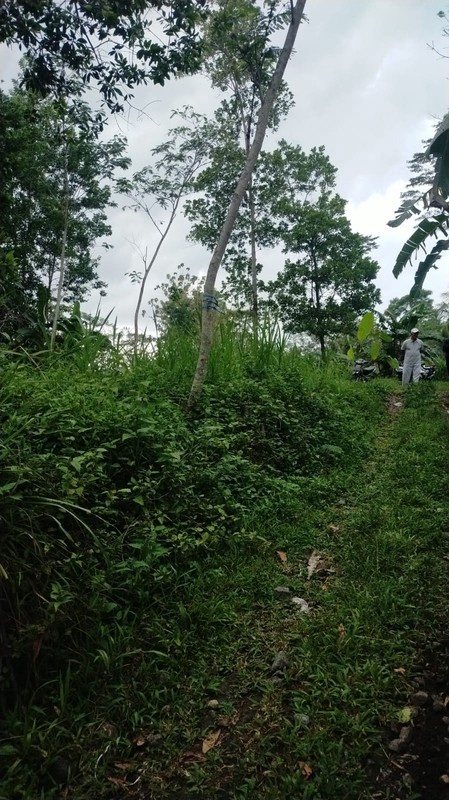 Dijual Tanah 1.8 Hektar di Argomulyo, Cangkringan, Sleman, Potensi Wisata/Resort