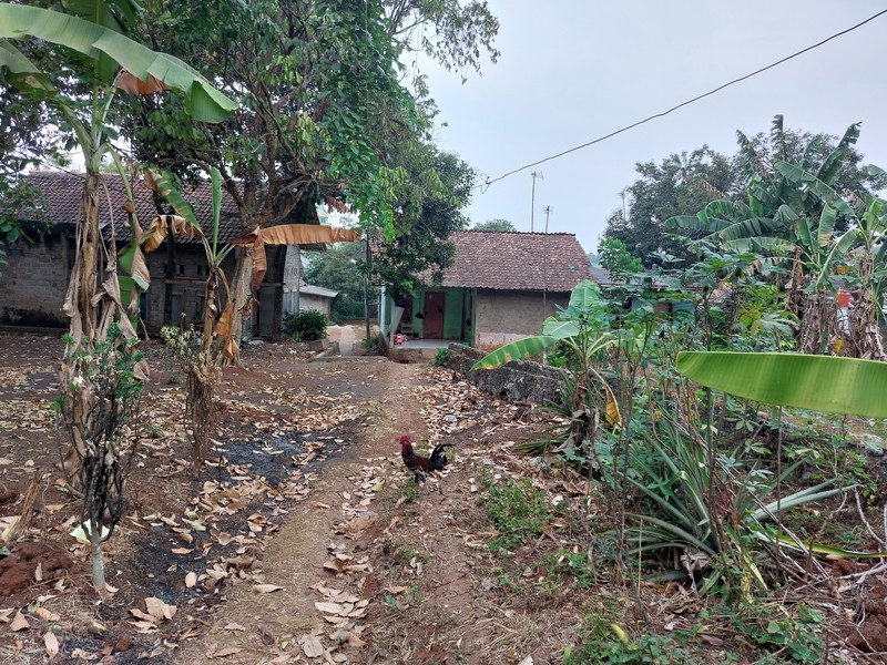 Tanah Murah dekat Griya Nusa Indah Cileungsi