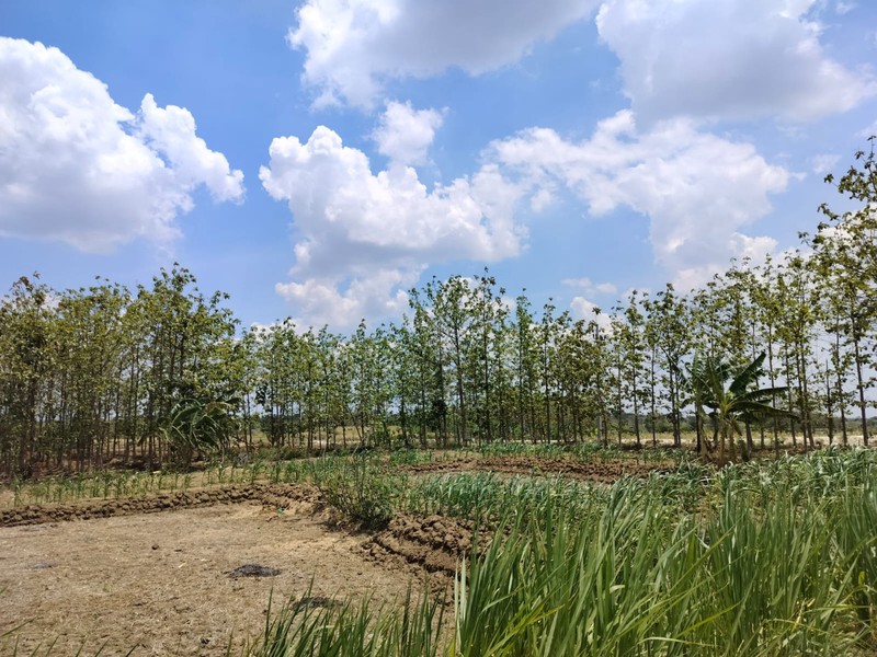 Murah Dijual 3180 m2 Tanah Kedamean Gresik Jawa Timur - Zona Kuning Cocok Buat Gudang, Workshop, Perumahan