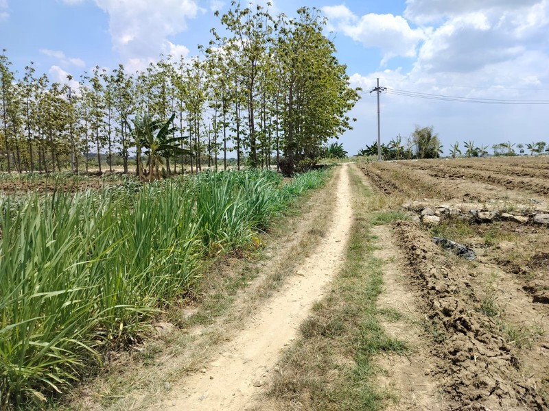 Murah Dijual 3180 m2 Tanah Kedamean Gresik Jawa Timur - Zona Kuning Cocok Buat Gudang, Workshop, Perumahan