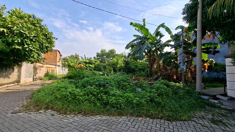 Kavling Persegi Panjang Bebas Banjir di Jl Patriot, Sudimara Pinang. Dekat Jalan Raya dan Fasilitas Umum