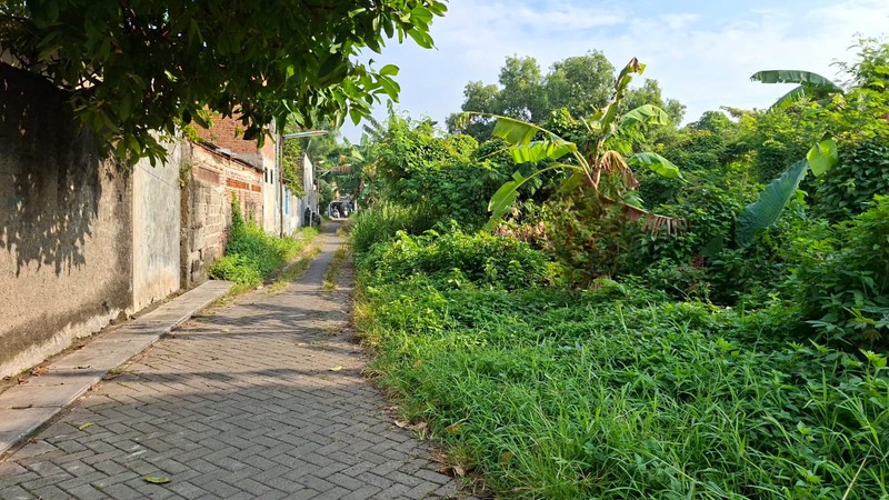 Kavling Persegi Panjang Bebas Banjir di Jl Patriot, Sudimara Pinang. Dekat Jalan Raya dan Fasilitas Umum