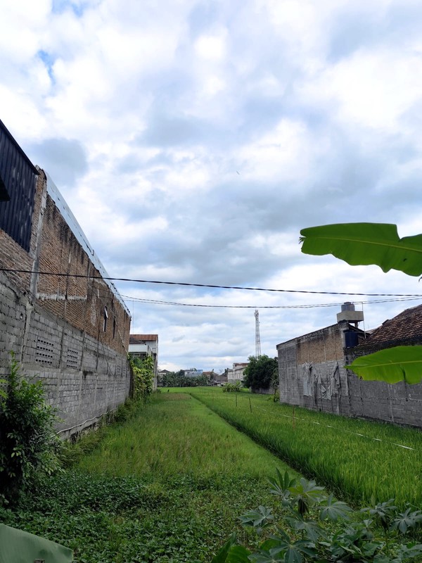 Dijual Tanah 619 Meter Persegi Pinggir Ringroad Selatan Dekat Dengan UMY, Kasihan, Bantul 