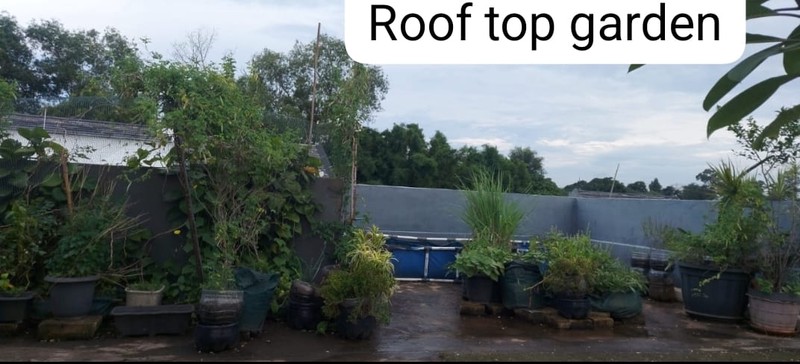 Rumah 2 Lantai Siap Huni dengan Hunian Nyaman dan Asri @Serpong, Tangerang Selatan