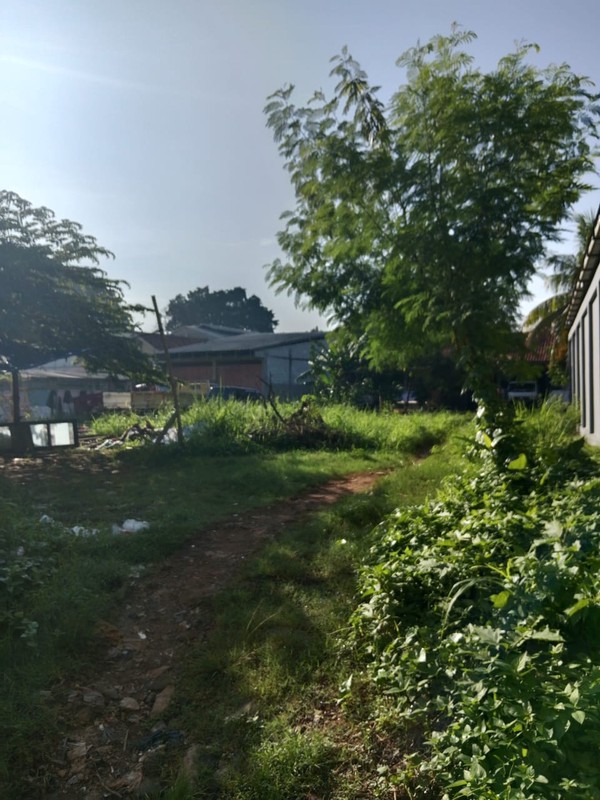 Rumah Bagus Siap Huni dengan Hunian Nyaman dan Asri @Ciputat